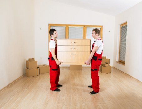Common home storage challenges and clutter management in Emersonpark